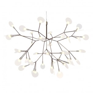 Heracleum Moooi